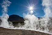 Dampf steigt aus heißen Quellen im geothermischen Becken der Geysire El Tatio in der Nähe von San Pedro de Atacama in der Atacama-Wüste im Norden Chiles auf.