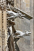 Gargoyles on the south side of St. Stephen's Cathedral, 1st District, Vienna, Austria