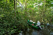 Touristen und ihr Naturführer (mit Strohhut) fahren in einem hölzernen Pirogue-Kanu durch einen überfluteten Wald, in der Nähe von Manaus, Amazonas, Brasilien, Südamerika