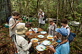 Touristen in einem Wald genießen das Mittagessen im Freien auf einem natürlichen Tisch aus dünnen Bäumen und Ästen, nahe Manaus, Amazonas, Brasilien, Südamerika