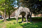 Elefant Fritz, Jagdschloss Stupinigi, Stupinigi, Turin, Piemont, Italien, Europa