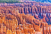 Bryce Canyon, Bryce Canyon National Park, Utah, United States of America, North America