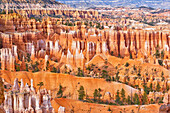 Sandstone formations, Bryce Canyon, Bryce Canyon National Park, Utah, United States of America, North America