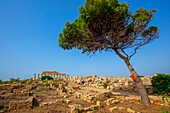 Tempel R, Selinunte, Castelvetrano, Trapani, Sizilien, Italien, Europa