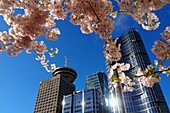 Frühling am Place Canada, Vancouver, British Columbia, Kanada West