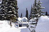 Ski-Area Silver Star bei Vernon, British Columbia, Kanada West