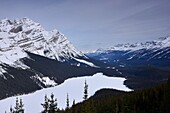 View of Peyto Lake, Banff National Park off the Icefields Highway in winter, Alberta, West Canada