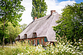 Thatched cottage in Ostholstein, Schleswig-Holstein, Germany