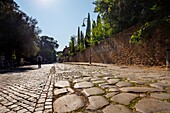 Via Appia, Rome, Lazio, Italy, Europe