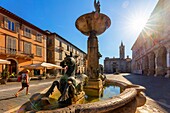 Piazza Arringo, Ascoli Piceno, Marken, Italien, Europa
