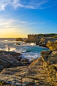 Insel Grand Gaou, Six-Fours-les-Plages, Provence-Alpes-Cote d'Azur, Frankreich, Mittelmeer, Europa