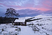 Steinscheune und Fußweg zum Peak of Shutlingsloe im Winter, in der Nähe von Wildboarclough, Nationalpark Peak District, Cheshire, England, Vereinigtes Königreich, Europa