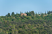 Landgut mit Zypressen bei Sasso d’Ombrone, gehört zur Gemeinde Cinigiano, Provinz Grosseto, Toskana, Italien