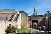 Glockenturm der Kirche Saint-Pierre und die Festungsmauern des Schlosses von Caen, erbaut um 1060 (11. Jahrhundert) von Wilhelm dem Eroberer, Residenz der Herzöge der Normandie, Normandie, Frankreich