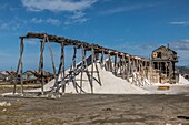 Salzwiesen, Salinas de Bani, Halbinsel Las Calderas, Dominikanische Republik