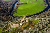 chateau rocher, saint remy de blot, combrailles, (63) puy de dome, auvergne