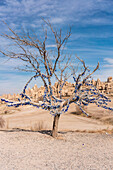 Turkey, Cappadocia, Goreme, Wish tree in barren landscape