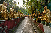 Reihen der goldenen Statue im Zehntausend-Buddha-Kloster