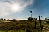 View of aermotor windmill in agricultural field, Uruguay, South America