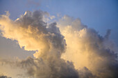 Cumulus-Wolken im Morgenlicht