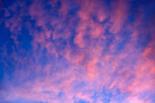 Pink cumulonimbus clouds against blue sunset sky