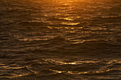 Sonnenlicht spiegelt sich bei Sonnenaufgang in Meereswellen wider