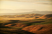 Hügelige Landschaft bei Sonnenuntergang