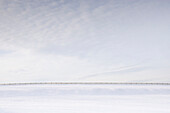 Usa, New Jersey, Long Valley, Fence in snowy field