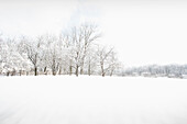 Jockey Hollow in winter Morristown National Historical Park