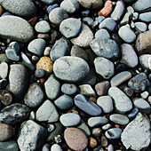 USA, Maine, West Quoddy Head, Draufsicht von Steinen am Strand