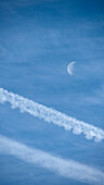 Airplane contrails and waning moon against blue sky