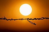 Sun setting against orange sky with silhouette of barbed wire in foreground