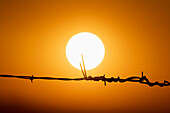 Sun setting against orange sky with silhouette of barbed wire in foreground