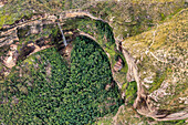Australien, NSW, Blue Mountains National Park, Luftaufnahme des Waldes in der Schlucht