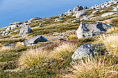 Australia, NSW, Kosciuszko National Park, Rocks on grassy hill