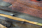 Close-up of striped tree bark