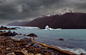 Südamerika. Argentinien. Provinz Santa Cruz. Patagonien. Gletscher-Nationalpark (Parque Nacional de los Glaciars) Anden. Lago Argentino. Perito-Moreno-Gletscher