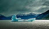 Südamerika. Argentinien. Provinz Santa Cruz. Patagonien. Gletscher-Nationalpark (Parque Nacional de los Glaciars) Anden. Lago Argentino. Eisberg vom Perito-Moreno-Gletscher