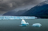 Südamerika. Argentinien. Provinz Santa Cruz. Patagonien. Gletscher-Nationalpark (Parque Nacional de los Glaciars) Anden. Lago Argentino. Perito-Moreno-Gletscher