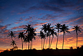 USA, Puerto Rico, Karibik, Silhouetten von Palmen gegen Himmel bei Sonnenuntergang