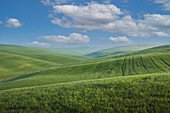 Italy, Tuscany, Val D'Orcia, Pienza, Clouds above green hills