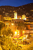 France, Provence, Nice, Palm trees and illuminated old town buildings