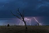 Botswana, Chobe National Park, Thunderstorm over savannah