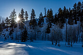 USA, Idaho, Sun Valley, Berg und Bäume im Winter