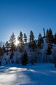 USA, Idaho, Sun Valley, Berge und Bäume im Winter