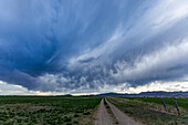 USA, Idaho, Bellevue, Stormy sky over farm road near Sun Valley