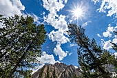 USA, Idaho, Stanley, sonniger Himmel über Bäumen und Sawtooth Mountains