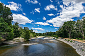 USA, Idaho, Bellevue, River, forest and blue sky in summer