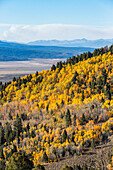 USA, Idaho, Stanley, Fall foliage in mountains near Sun Valley