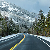 USA, Idaho, Ketchum, Road through snowy forest